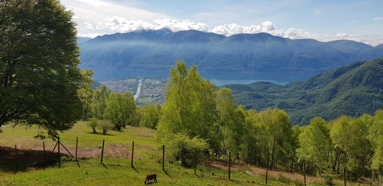 Appartamento Di Vacanza Casa Leoni Verscio Bagian luar foto
