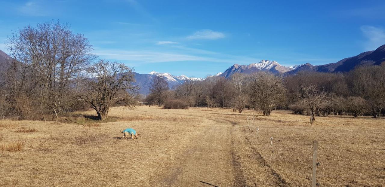 Appartamento Di Vacanza Casa Leoni Verscio Bagian luar foto